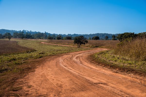 Dirt Driveway Repair in Littleton