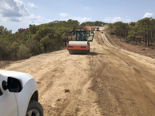 Cost of Driveway Grading in Littleton