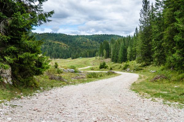 Cost of Gravel Road Grading in Littleton