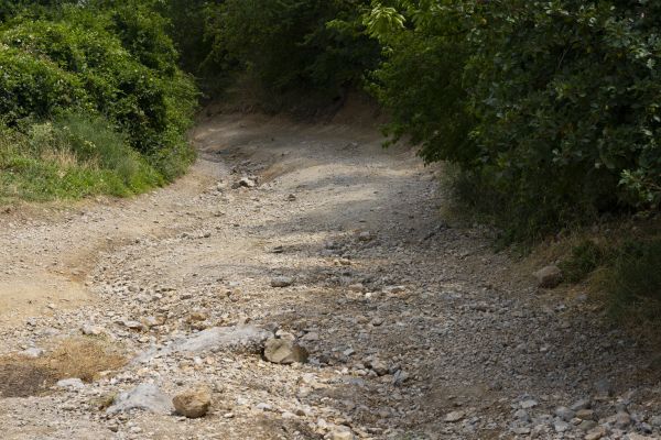 Cost of Gravel Road Pothole Repair in Littleton