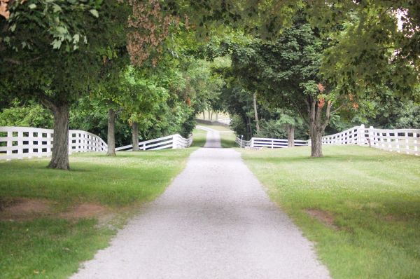 Gravel Driveway Construction in Littleton