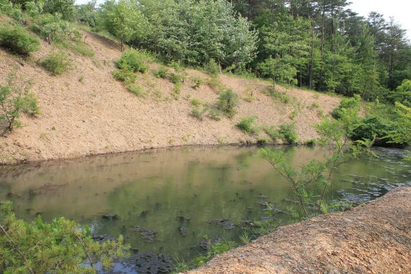 Cost of Pond Erosion Repair in Littleton